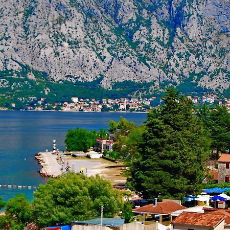 Apartments Scorpio Kotor Eksteriør billede