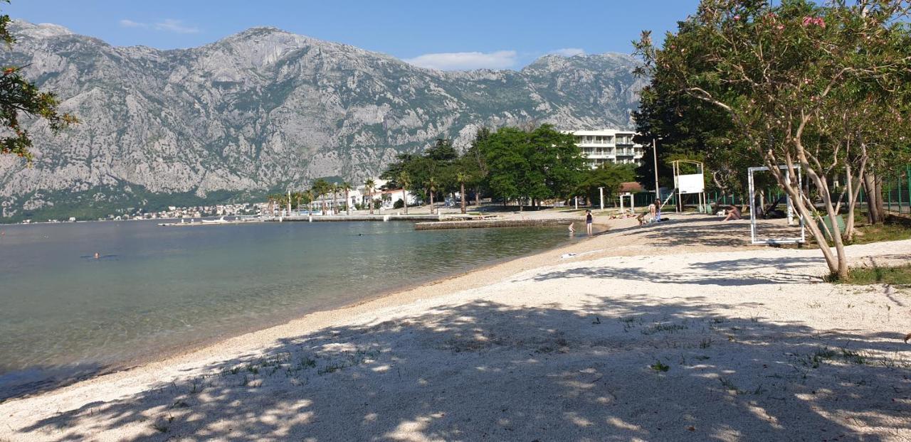 Apartments Scorpio Kotor Eksteriør billede