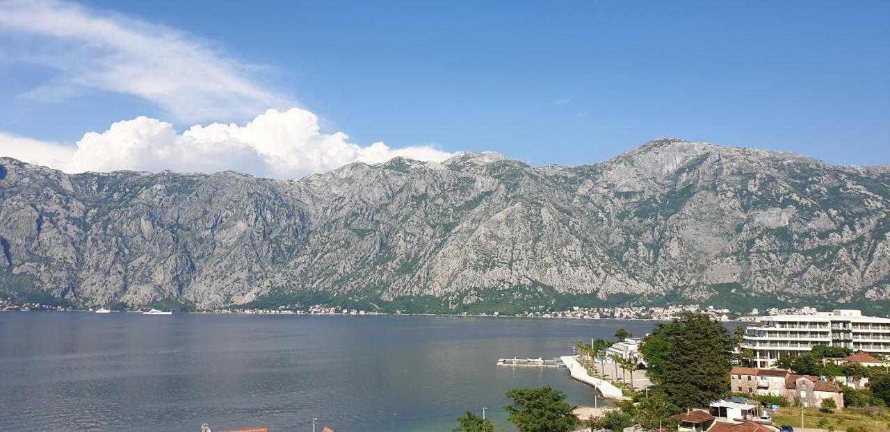 Apartments Scorpio Kotor Eksteriør billede
