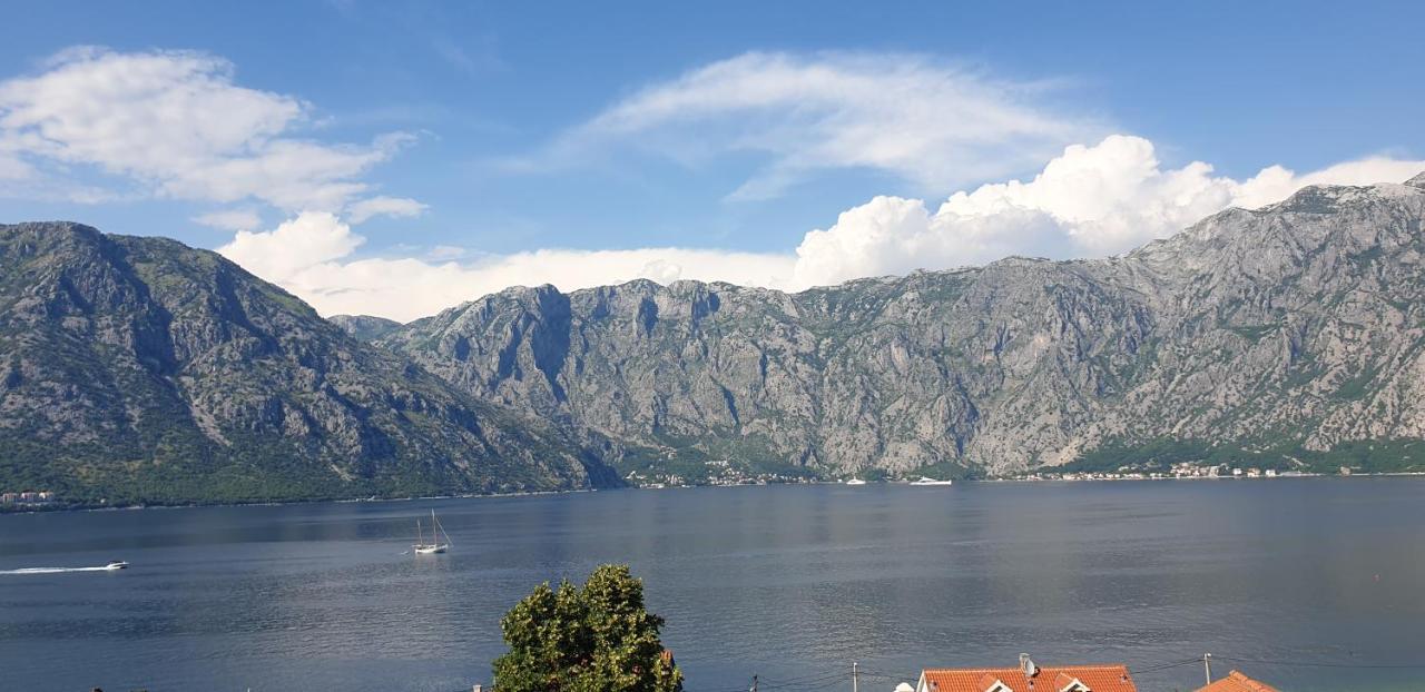 Apartments Scorpio Kotor Eksteriør billede