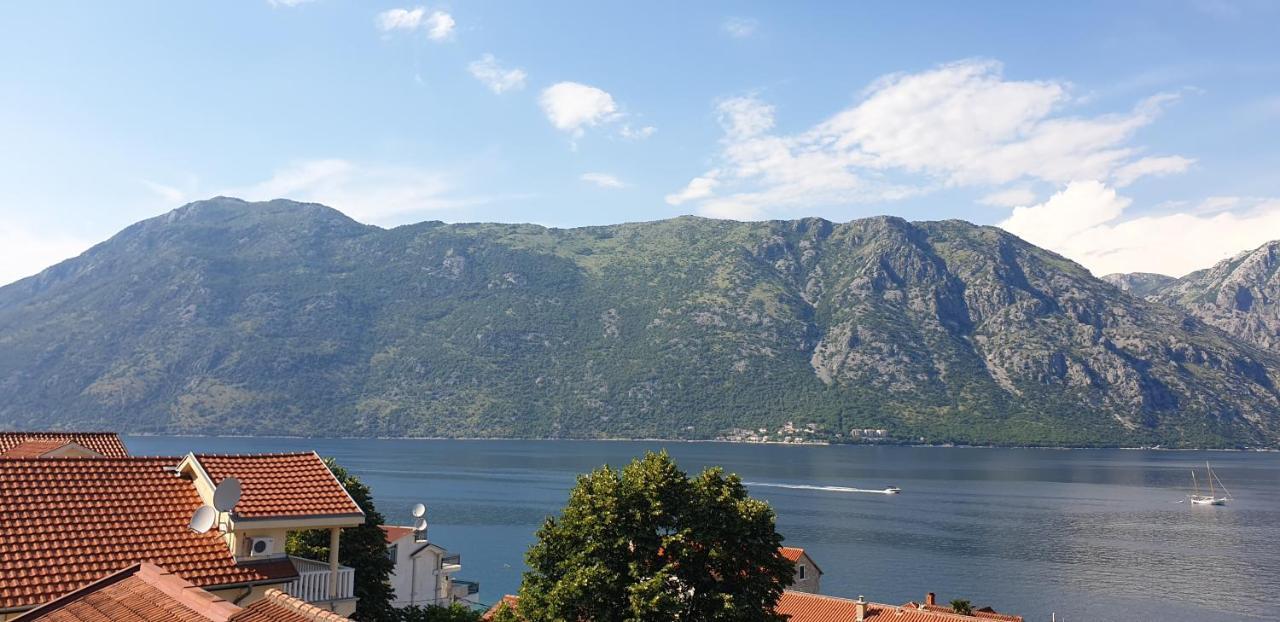 Apartments Scorpio Kotor Eksteriør billede