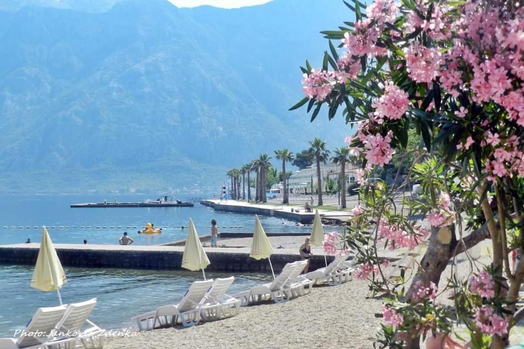 Apartments Scorpio Kotor Eksteriør billede