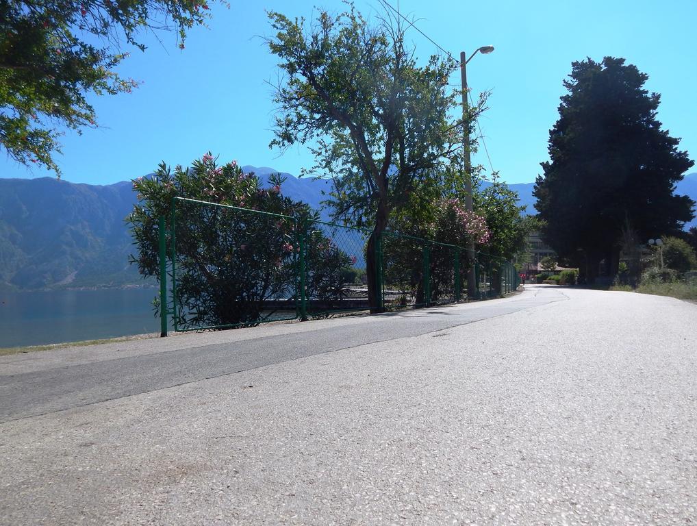Apartments Scorpio Kotor Eksteriør billede