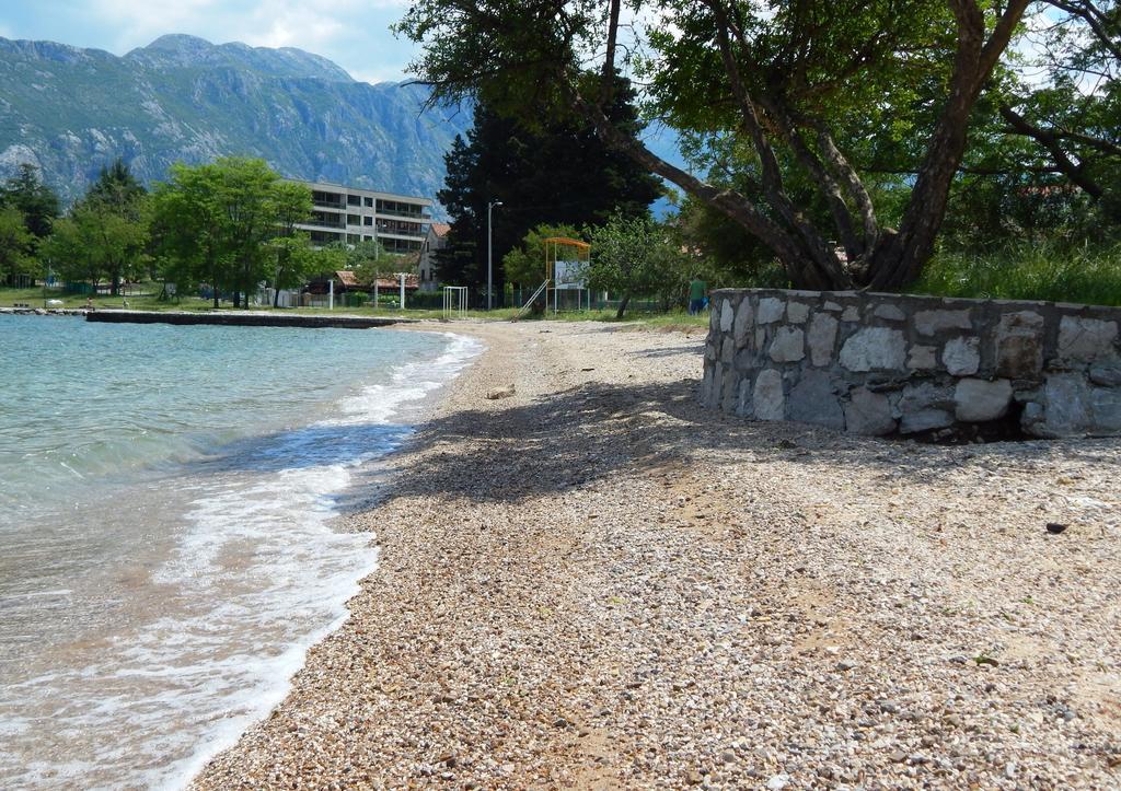 Apartments Scorpio Kotor Eksteriør billede