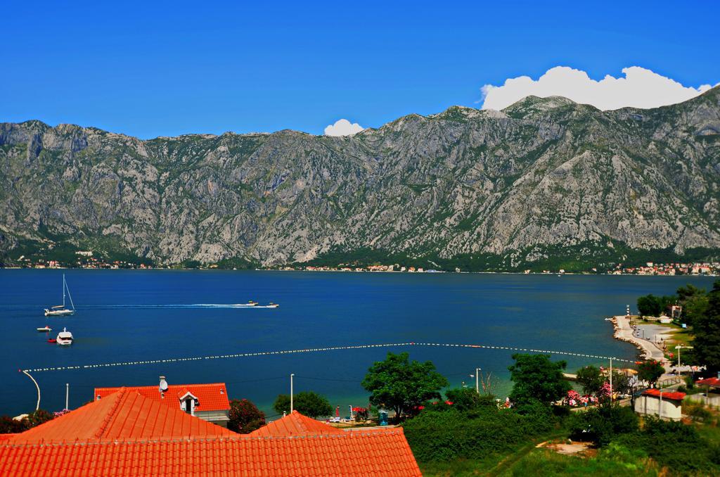 Apartments Scorpio Kotor Værelse billede